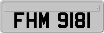 FHM9181