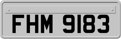 FHM9183