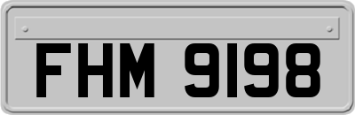 FHM9198