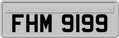 FHM9199