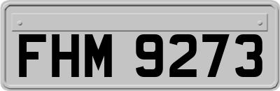FHM9273