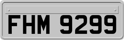 FHM9299