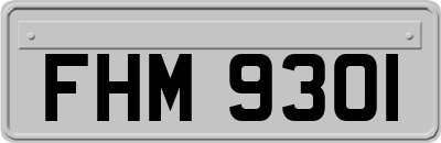 FHM9301