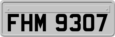 FHM9307