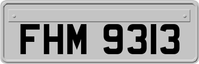 FHM9313