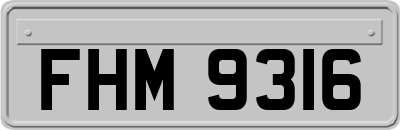 FHM9316