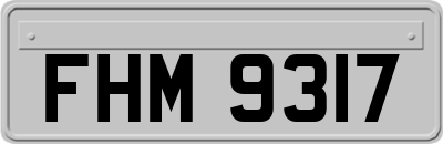 FHM9317