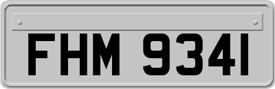 FHM9341