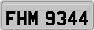 FHM9344