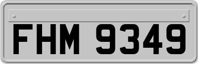FHM9349