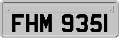 FHM9351
