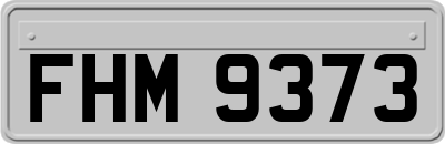 FHM9373