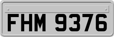 FHM9376