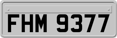FHM9377