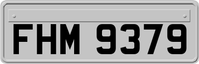 FHM9379