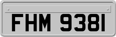 FHM9381