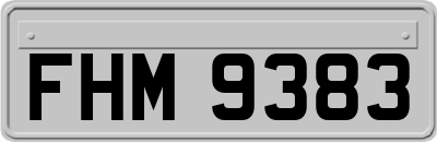 FHM9383