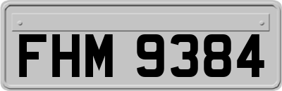FHM9384