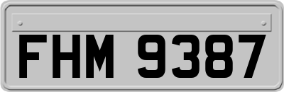 FHM9387