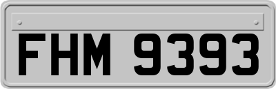 FHM9393