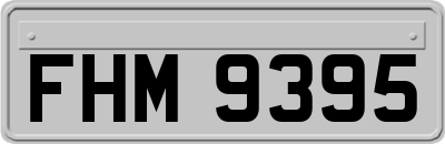 FHM9395