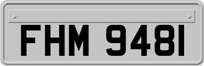 FHM9481