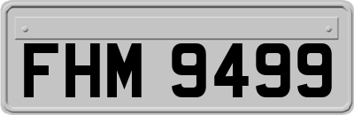 FHM9499