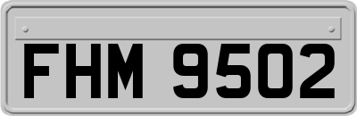 FHM9502