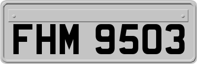 FHM9503