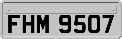 FHM9507
