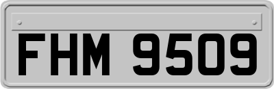FHM9509