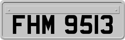 FHM9513