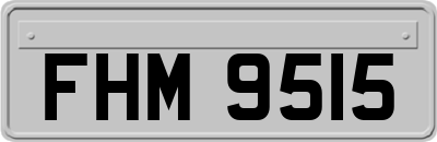 FHM9515