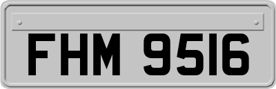 FHM9516