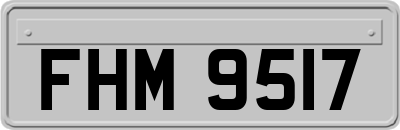 FHM9517