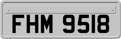 FHM9518