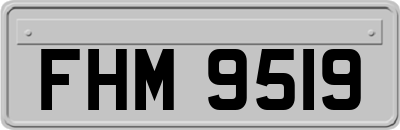 FHM9519