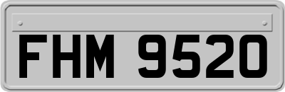 FHM9520