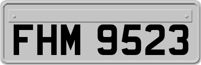 FHM9523