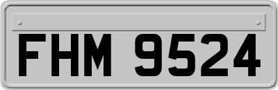 FHM9524