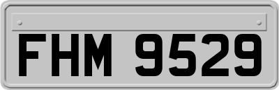 FHM9529