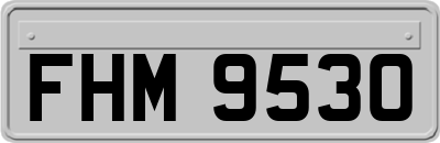 FHM9530