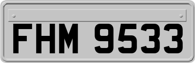 FHM9533
