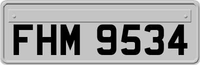 FHM9534