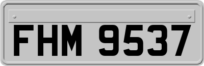 FHM9537