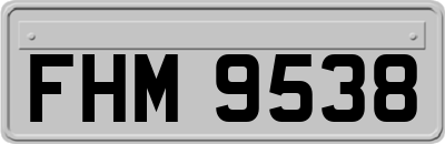 FHM9538