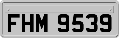 FHM9539