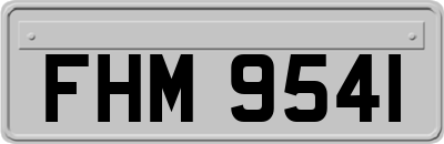 FHM9541