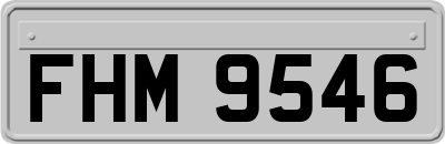FHM9546