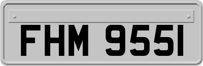 FHM9551